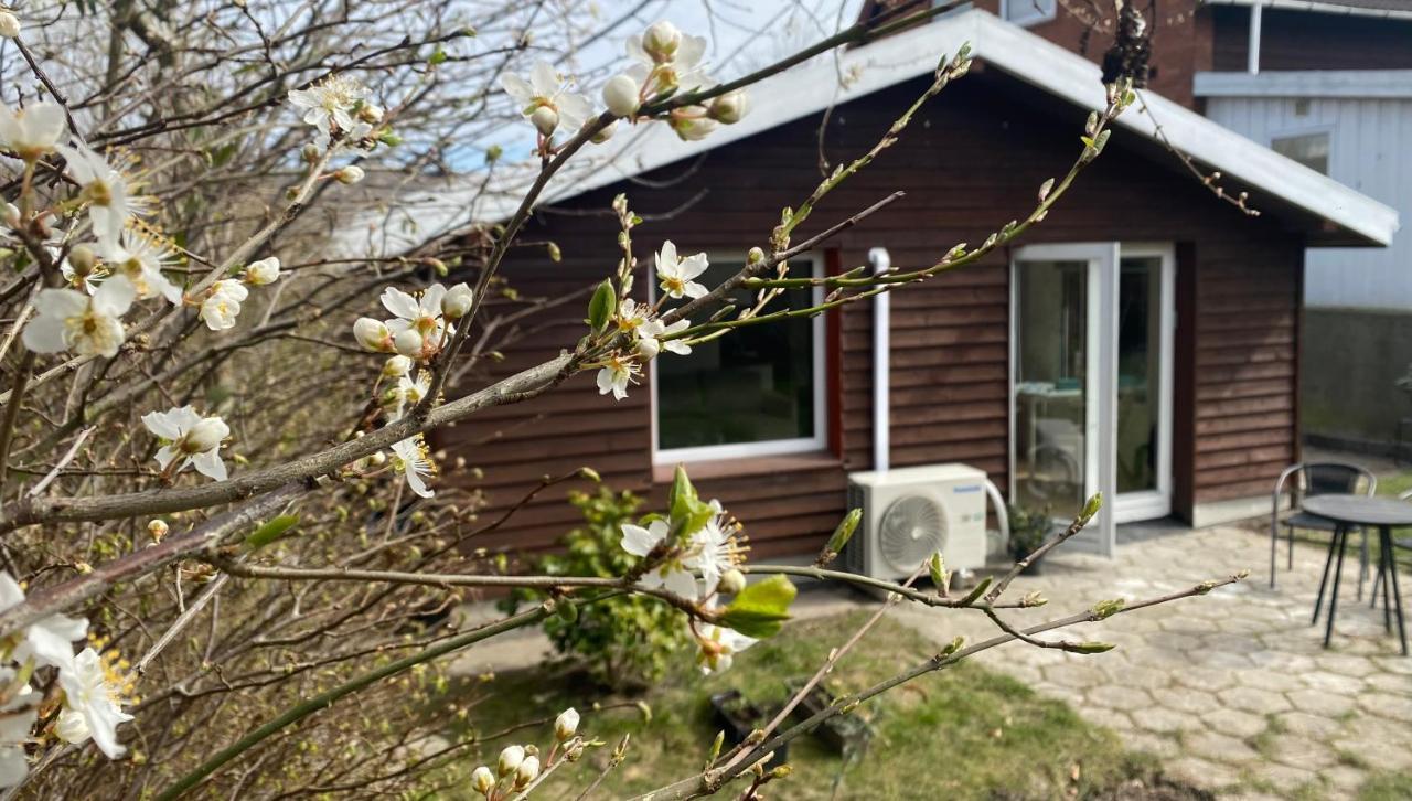 فيلا هيرليففي Cozy House With A Graden View المظهر الخارجي الصورة